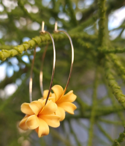 Gold-Filled Pua Hoops web